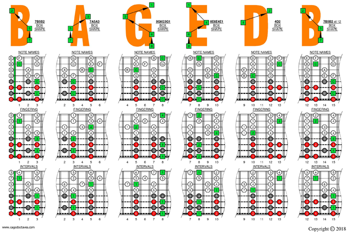 C major scale (ionian mode) 8-string guitar (Drop E + Drop A) box shapes