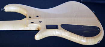 Pedulla Nuance 5 Quilted-Spalted Maple Top