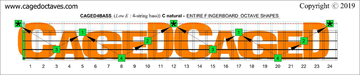 CAGED4BASS C natural fingerboard