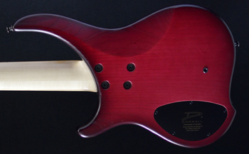 Dingwall ABZ-5 Redburst