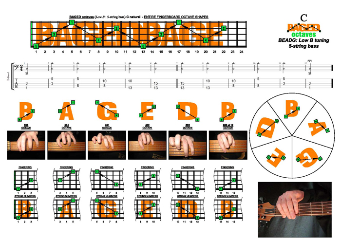 5-String Bass (Low B) : C natural octaves