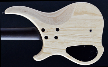 Dingwall ABZ5 Natural Wenge Neck