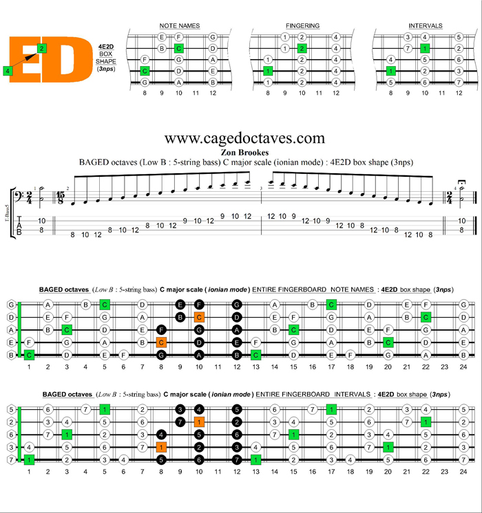 5-String Bass (Low B) C major scale (ionian mode) 3nps : 4E2D box shape