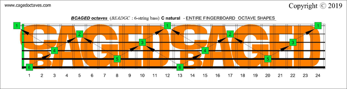 BCAGED octaves fingerboard : C natural octaves