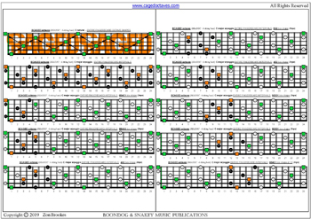 BCAGED octaves (Low B - BEADGC : 6-string bass) C major arpeggio (3nps) box shapes : fretboard notes