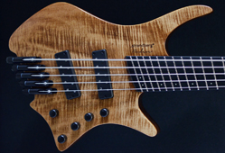 Strandberg Prog 5