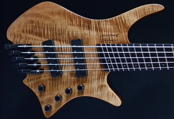 Strandberg Prog 5