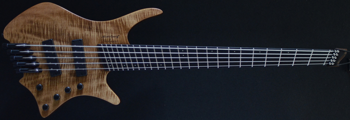 Strandberg Prog 5