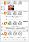 4Dm2 chord pdf