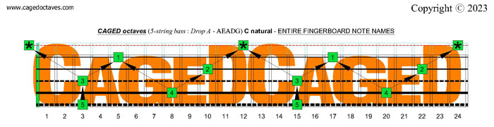 CAGED octaves fingerboard : C natural octaves