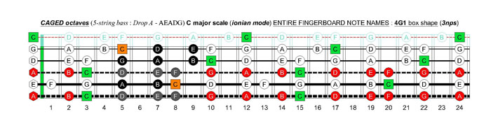 5-string bass (Drop A - AEADG) C major scale (ionian mode): 4G1 box shape (3nps)