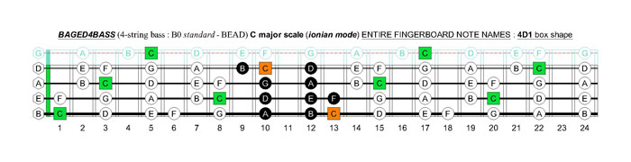 BAGED4BASS (4-string bass : B0 standard - BEAD) C major scale (ionian mode): 4D1 box shape