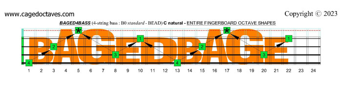 BAGED octaves fingerboard : C natural octaves