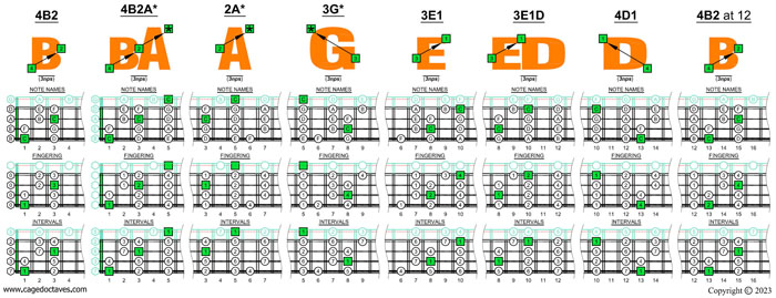 BAGED4BASS (4-string bass : B0 standard - BEAD) C major scale (ionian mode) box shapes (3nps)