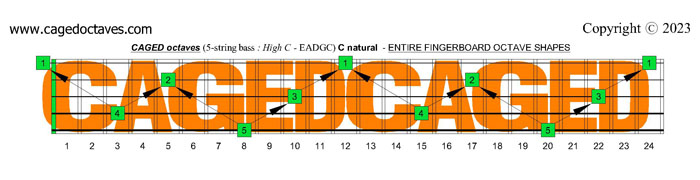 CAGED octaves fingerboard : C natural octaves