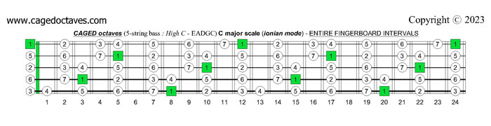 5-String Bass (High C - EADGC): C major scale (ionian mode) fingerboard intervals