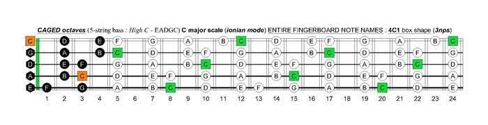 5-string bass (High C - EADGC) C major scale (ionian mode): 4C1 box shape (3nps)