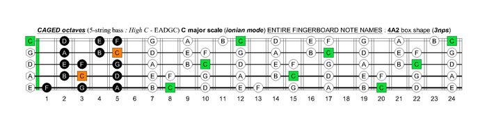 5-string bass (High C - EADGC) C major scale (ionian mode): 4A2 box shape (3nps)