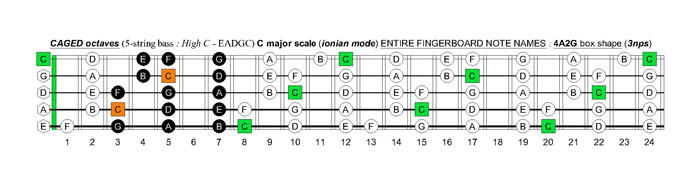 5-string bass (High C - EADGC) C major scale (ionian mode): 4A2G box shape (3nps)