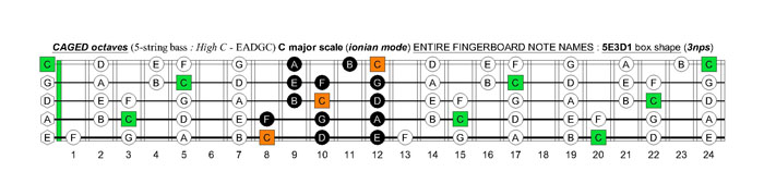 5-string bass (High C - EADGC) C major scale (ionian mode): 5E3D1 box shape (3nps)