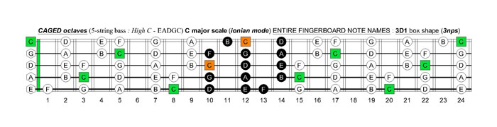 5-string bass (High C - EADGC) C major scale (ionian mode): 3D1 box shape (3nps)