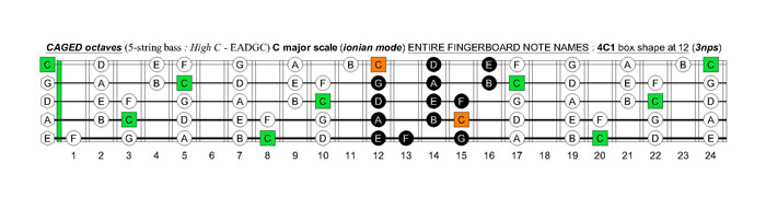 5-string bass (High C - EADGC) C major scale (ionian mode): 4C1 box shape at 12 (3nps)