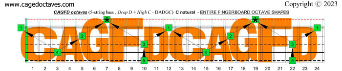 5-String Bass (Drop D + High C - EADGC) fingerboard : C natural octaves