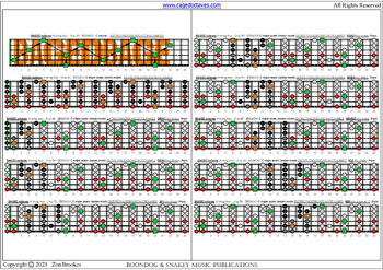 BAGED octaves 6-string bass (Drop E0 standard - EBEADG) C major scale (ionian mode) box shapes : fretboard notes