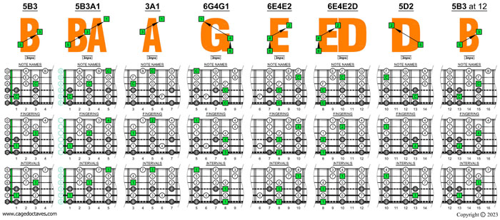 BAGED octaves 6-string bass (Drop E0 standard - EBEADG) C major scale (ionian mode) box shapes