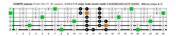 CAGEFD octaves Fender Bass VI (E1 standard - EADGCF) C major scale (ionian mode) : 5C2 box shape at 12