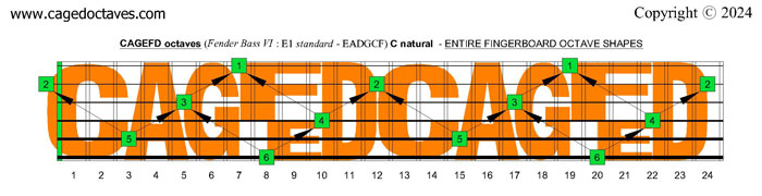 CAGEFD octaves Fender Bass VI (E1 standard - EADGCF) fingerboard: C natural octaves