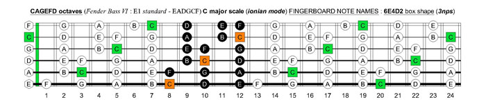 CAGEFD octaves Fender Bass VI (E1 standard - EADGCF) C major scale (ionian mode): 6E4D2 box shape (3nps)