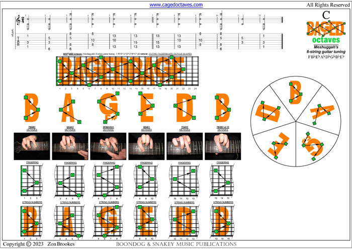 Meshuggah's 8-String Guitar Tuning (FBbEbAbDbGbBbEb) : C natural octaves