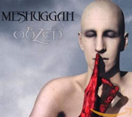 Meshuggah: ObZen