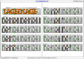 CAGED octaves (Baritone 6-string guitar : B1 standard tuning - BEADF#B) C major scale (ionian mode) box shapes (3nps) : entire fretboard intervals