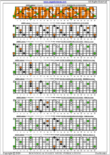 AGEDC octaves A minor arpeggio box shapes : entire fretboard notes