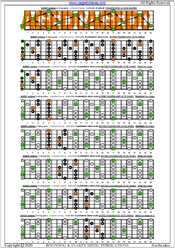 AGEDC octaves A pentatonic minor scale box shapes : entire fretboard notes