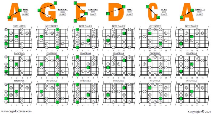 AGEDC octaves A minor blues scale box shapes