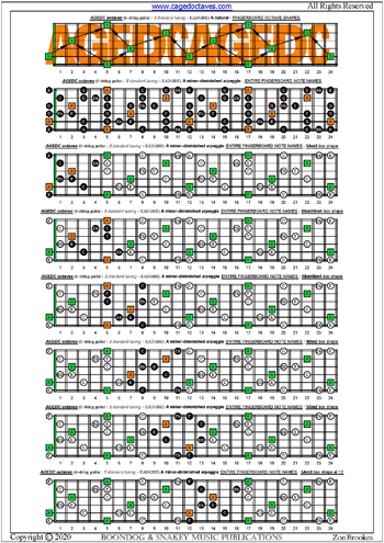 AGEDC octaves A minor-diminished arpeggio box shapes : entire fretboard notes