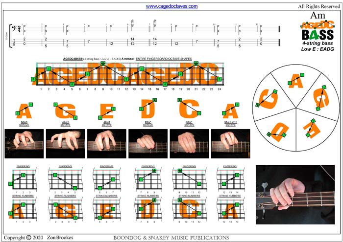 AGEDC4BASS : A natural octaves