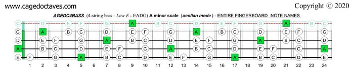 A minor scale (aeolian mode) : AGEDC4BASS fingerboard notes