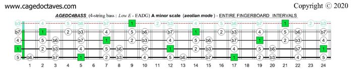 A minor scale (aeolian mode) : AGEDC4BASS fingerboard intervals