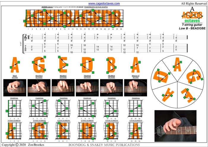 AGEDB octaves : A natural octaves