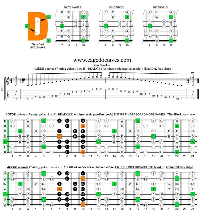 AGEDB octaves A minor scale : 7Dm4Dm2 box shape