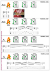 5Am3 chord pdf