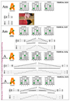 5Am3 at fret 12 chord pdf