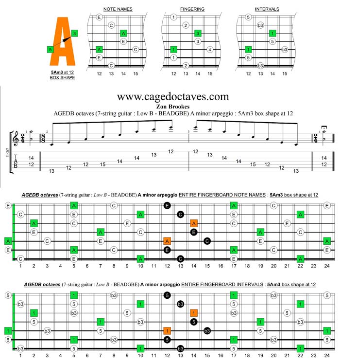 AGEDB octaves A minor arpeggio : 5Am3 box shape at 12