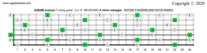 AGEDB octaves (7-string guitar): A minor arpeggio entire fretboard notes