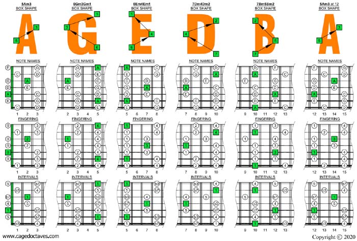 AGEDB octaves A pentatonic minor scale box shapes