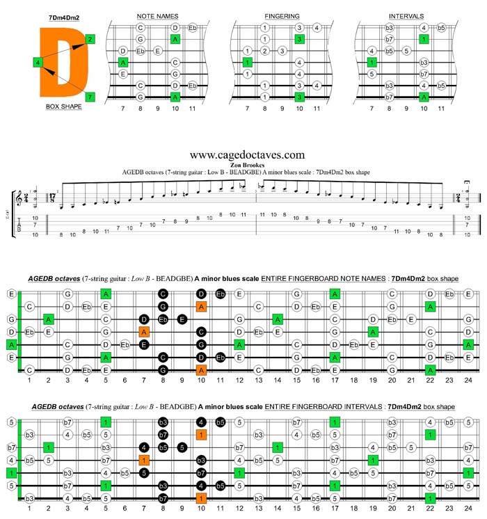 AGEDB octaves A minor blues scale : 7Dm4Dm2 box shape